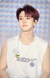 HARU 演唱會 DVD / CD 卡 