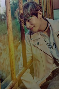 ARMYPEDIA 明信片 花2