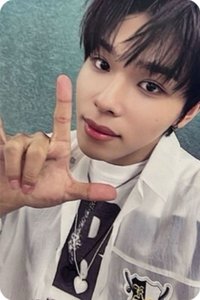 迷二 專輯卡 電子專黃版隨機卡