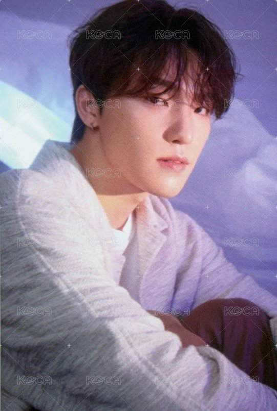 23’博物館 周邊卡 大卡組 正面