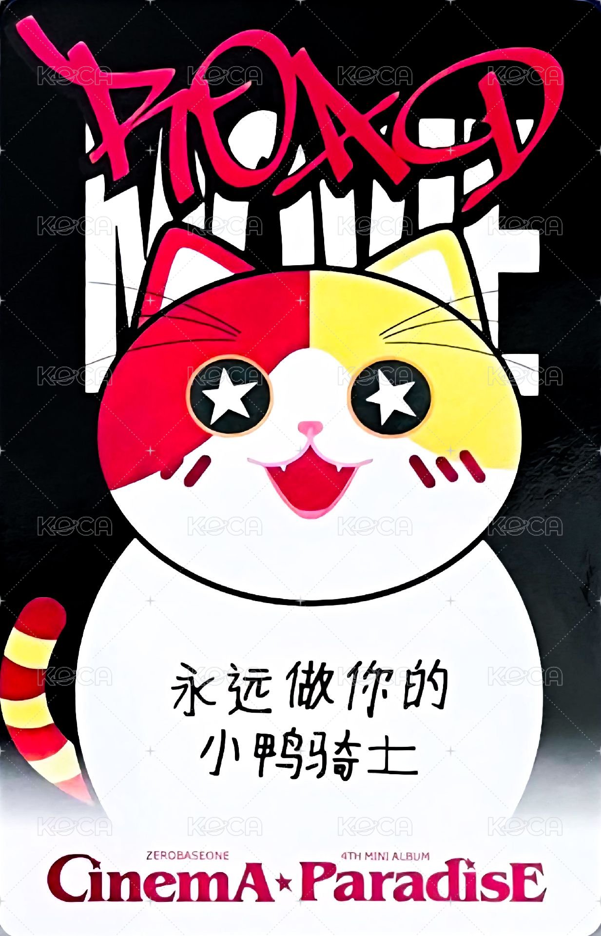 迷四 yzy 簽售卡 胖貓 ver. 背面