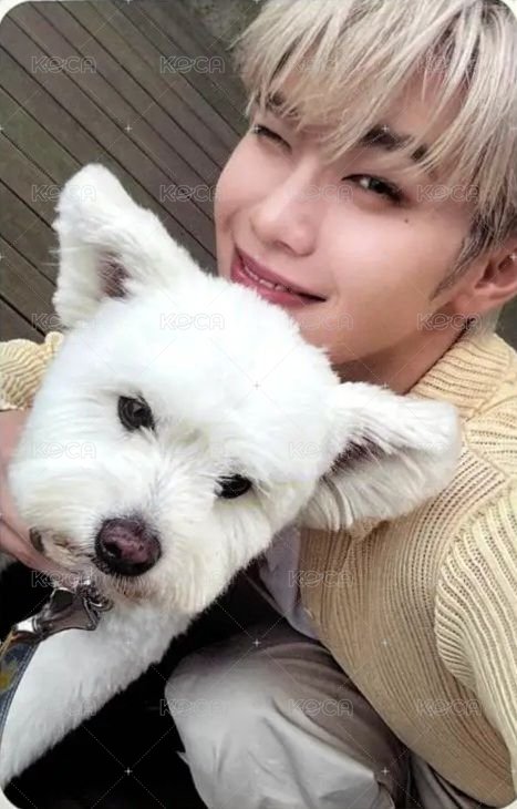 正規一 專輯卡 團封狗狗 正面