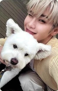 正規一 專輯卡 團封狗狗