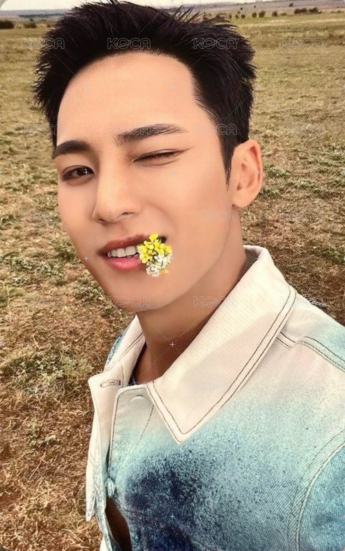 MINI11 wvs 大阪 入場卡 / 場限卡 咬花奎 正面