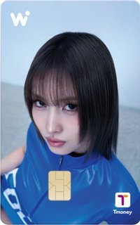 WOWPASS 交通卡 wowpass