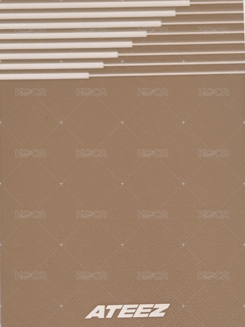 GH1 TOKTOQ 特典卡  背面