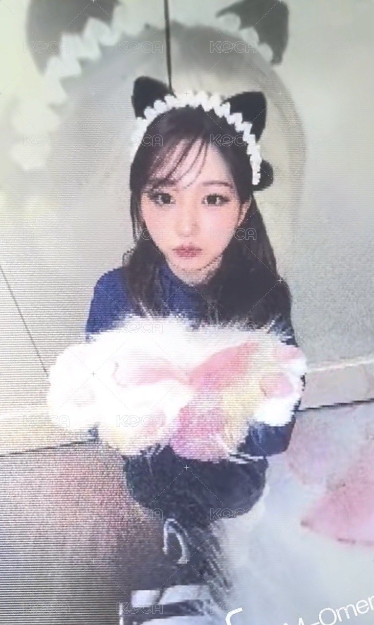 FORWARD 數星星 3.0 簽售卡 喵喵拳 變化卡 背面