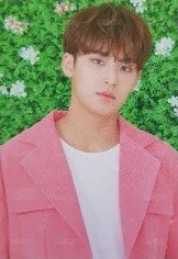 HARU 隨機卡 17 正面