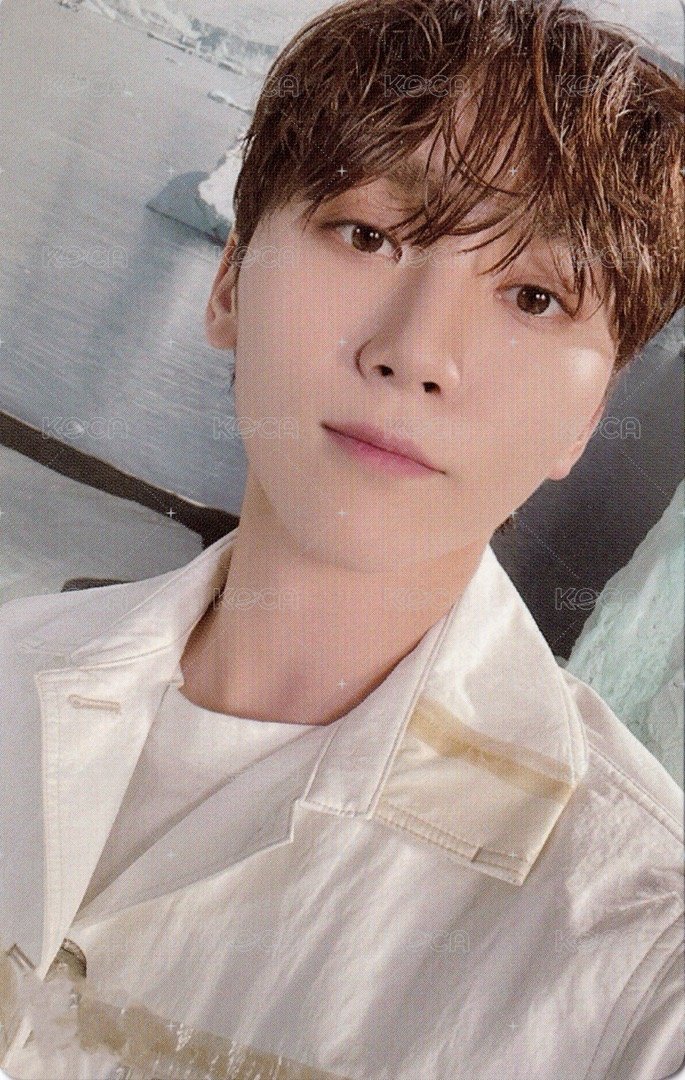 正四後續 專輯卡 正規四後續｜WVS電子專ver. 正面