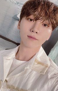 正四後續 專輯卡 正規四後續｜WVS電子專ver.