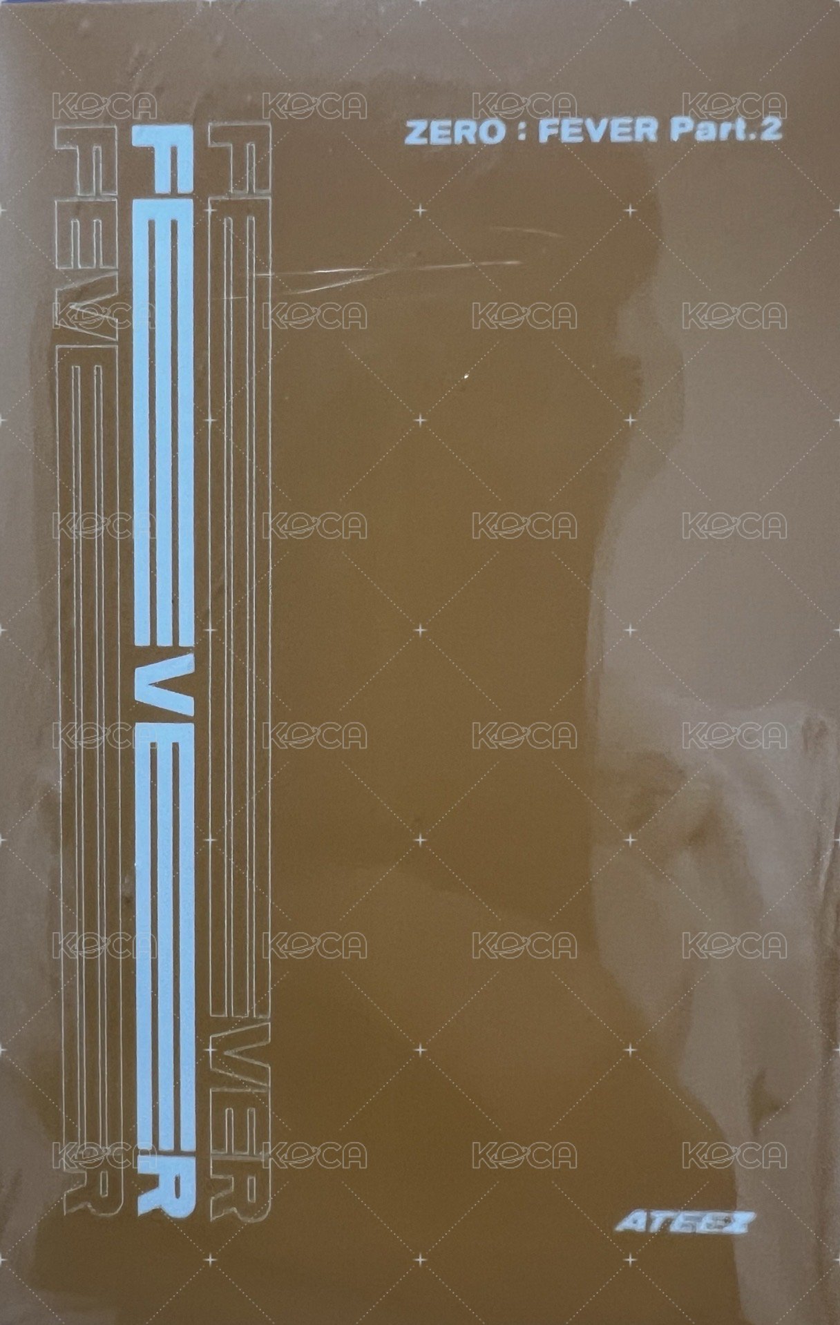 FEVER再版專 專輯卡  背面