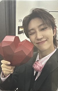 MINI12 專輯卡 carat ver.