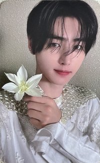 迷五 打歌卡 