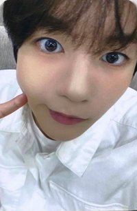 Songbird wm 線上2.0 簽售卡 