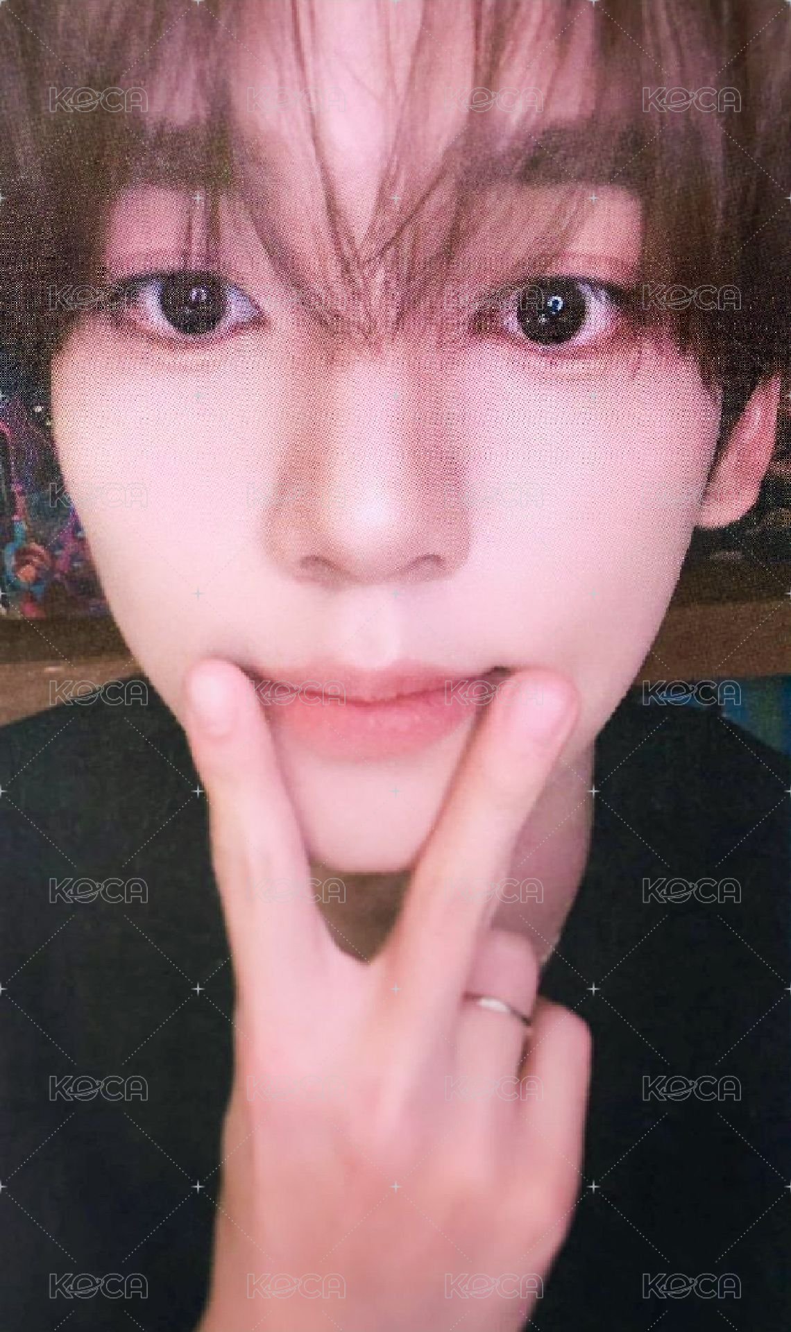 迷四 oy 特典卡  正面