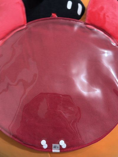 twice 彩瑛 彩不理扇套