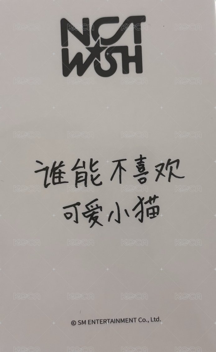 Steady yzy 預售 特典卡 中文卡背 背面