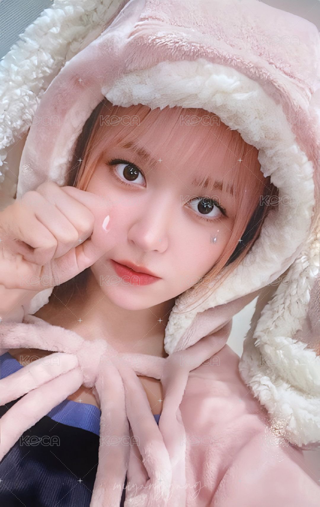 expérgo el 幸運卡 兔子毛毯莉 正面