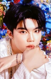 日專 塔店 特典卡 官拍