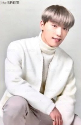 the SAEM 代言卡 雙面卡B 背面