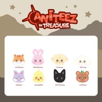 ANITEEZ IN TREASURE 抱枕 大頭抱枕