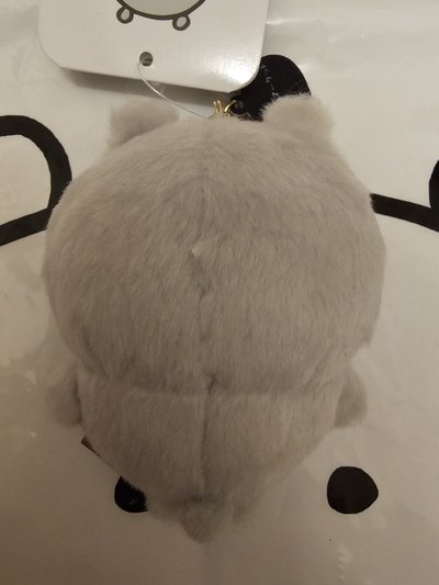 韓國限定彩虹熊 限定灰