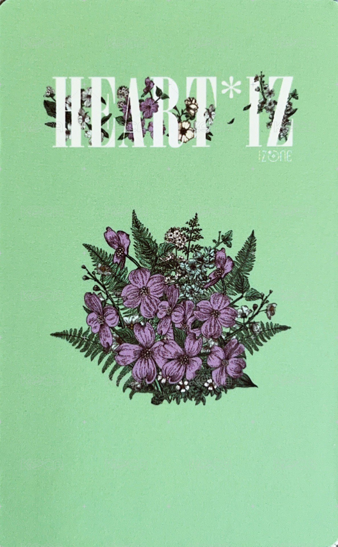 HEART*IZ 專輯卡 智能專 背面