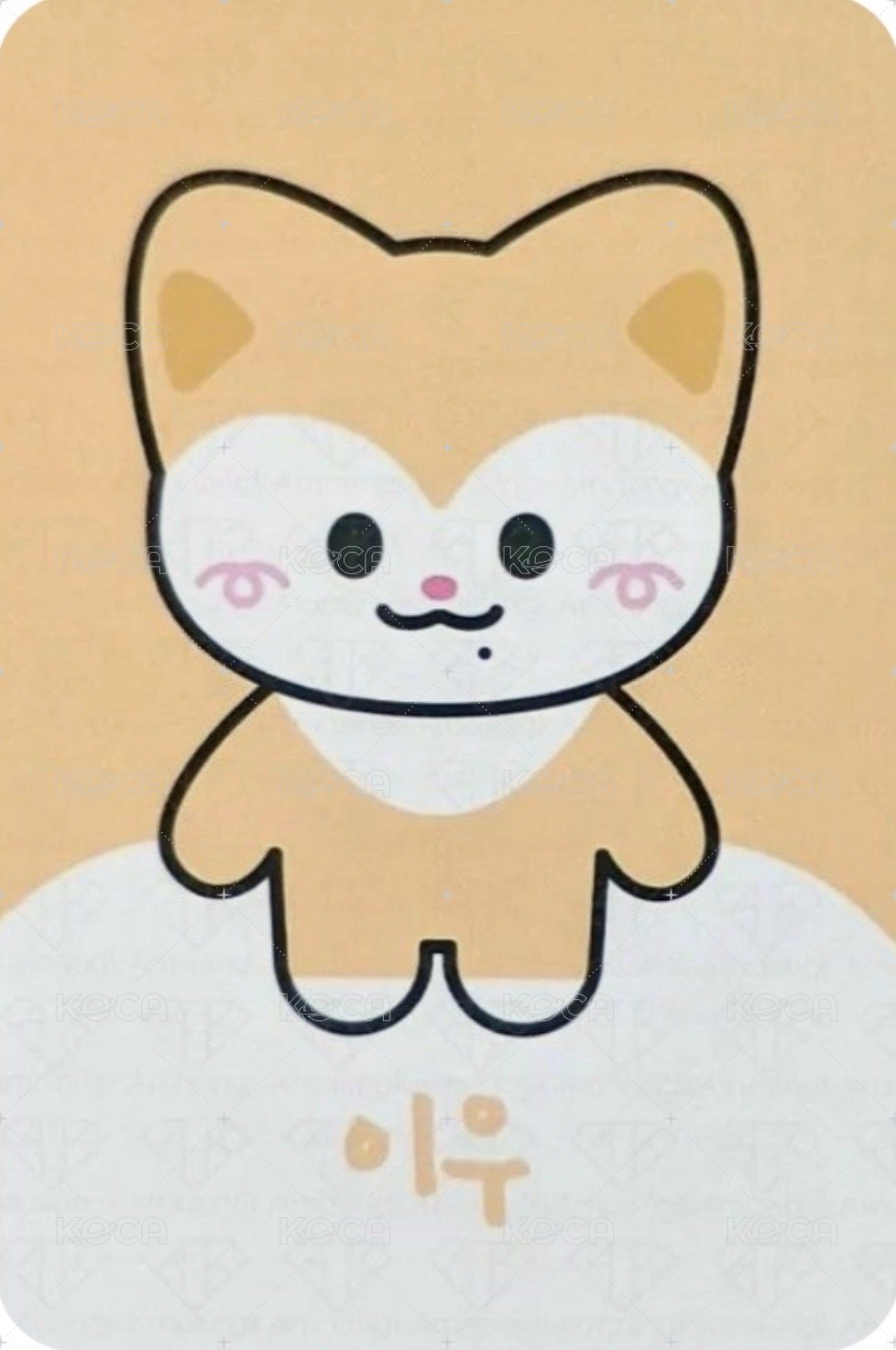 2024 FM 周邊卡 卡套卡 背面