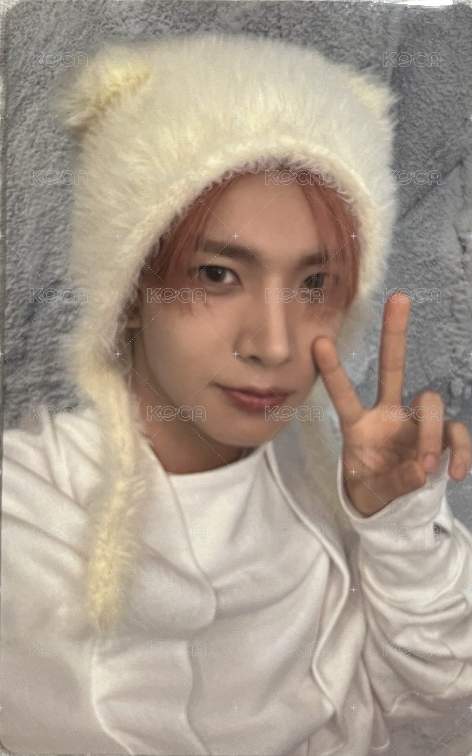 正二後續 wvs 特典卡  正面