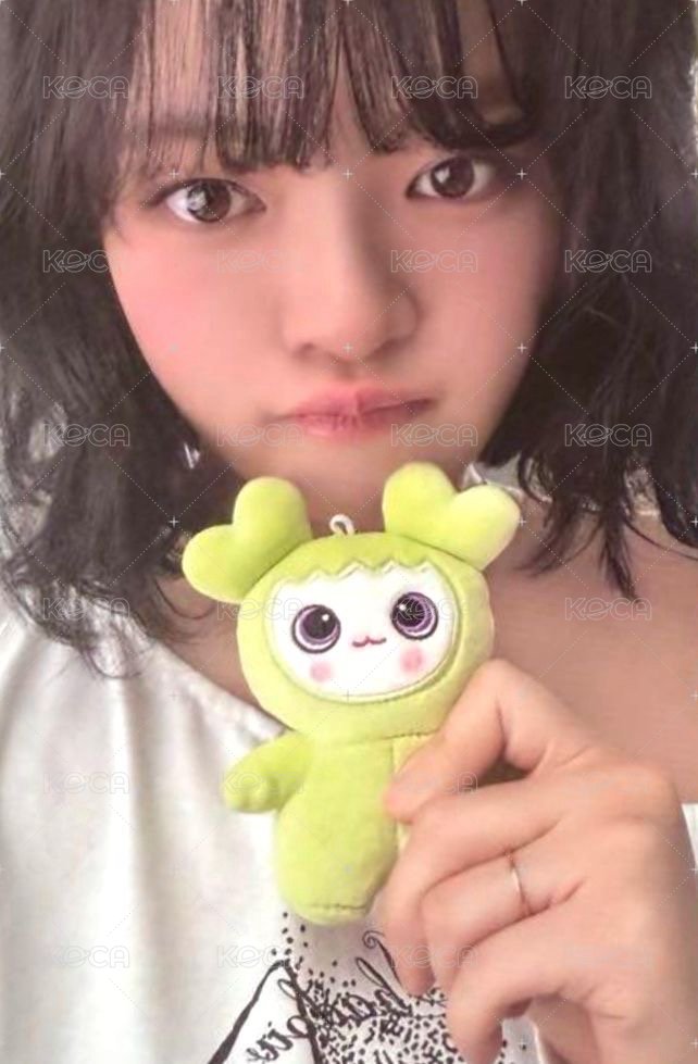 五期會員 會員禮卡  正面