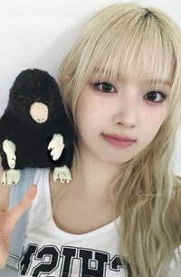 STICK OUT ms 6.0 簽售卡 鼹鼠友