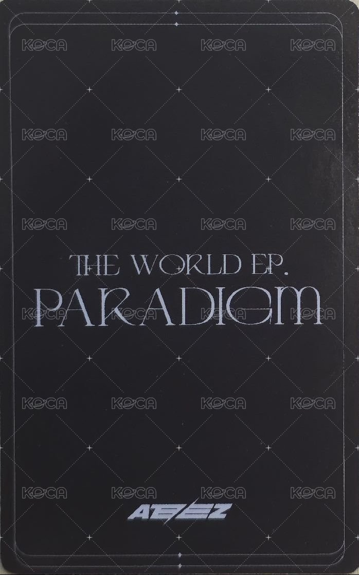 Paradigm 專輯卡 個別盤 背面