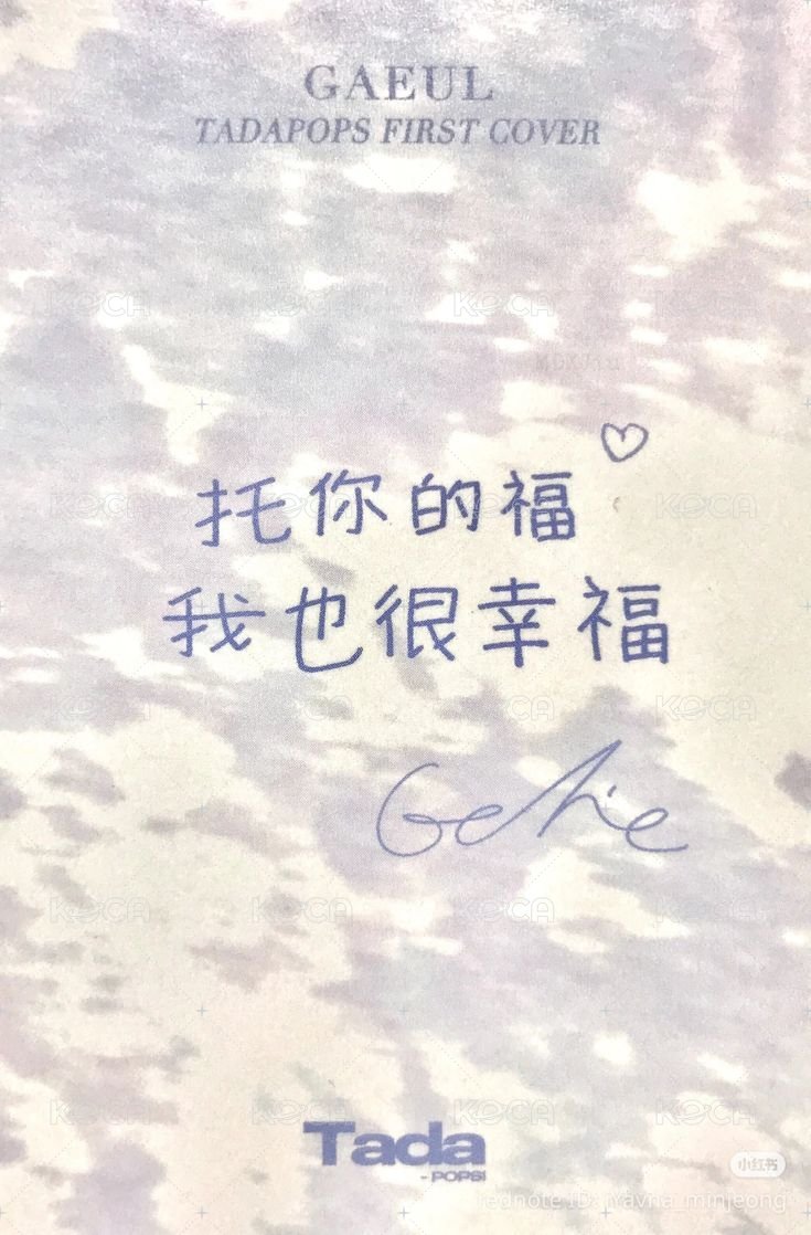 TadaPOPs 雜誌卡  背面