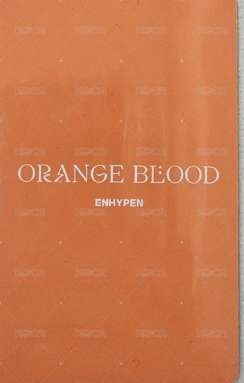 迷五 專輯卡  背面