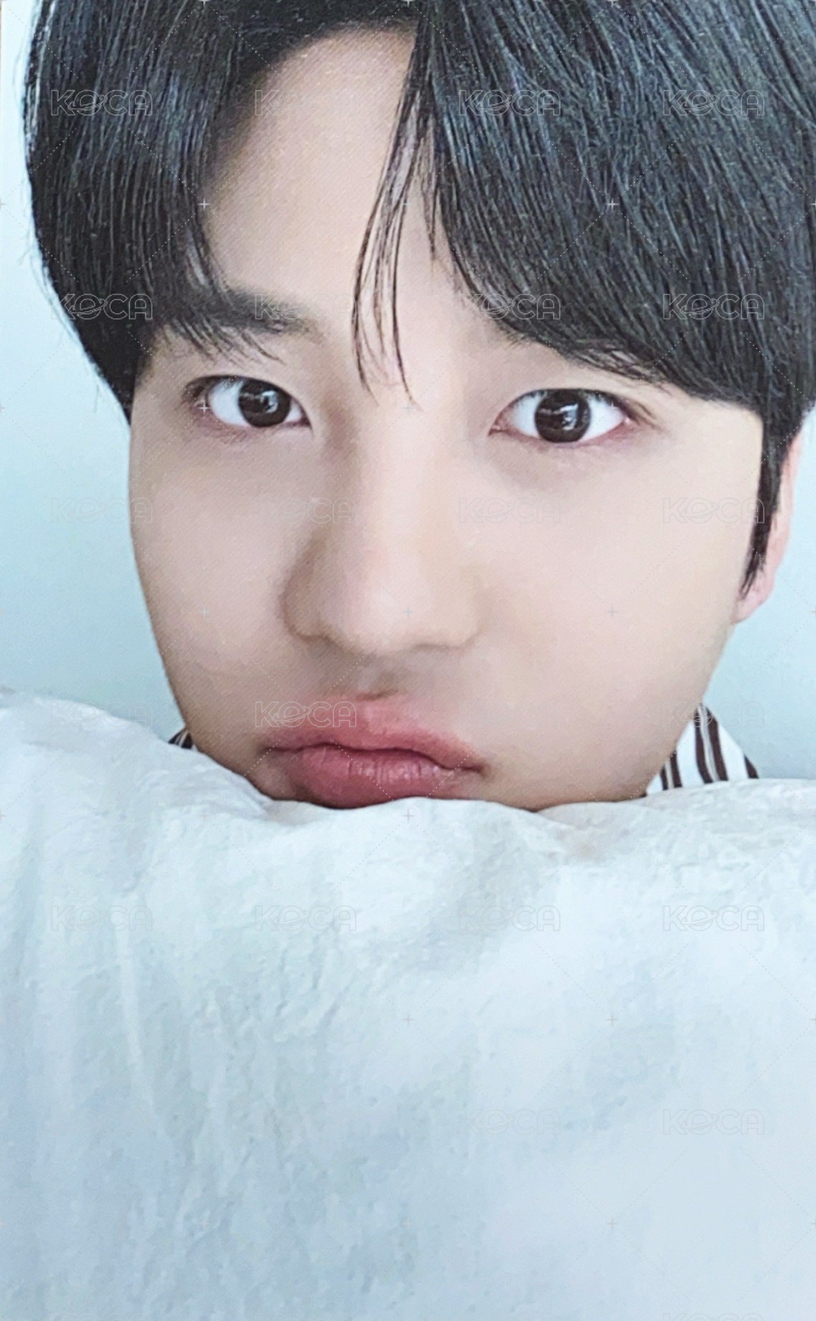 25' 6期會員禮 會員禮卡  正面