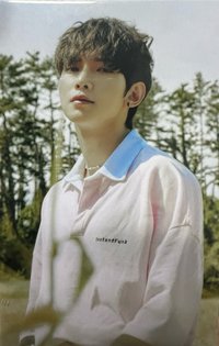 FEVER再版專 專輯卡 