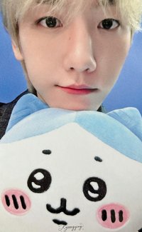 bolo5 MINIRECORD 幸運卡 