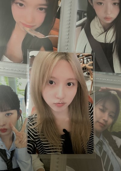 秋天 京東中文卡背