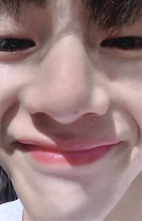 Dicon 周邊卡 101卡冊 (14/14)