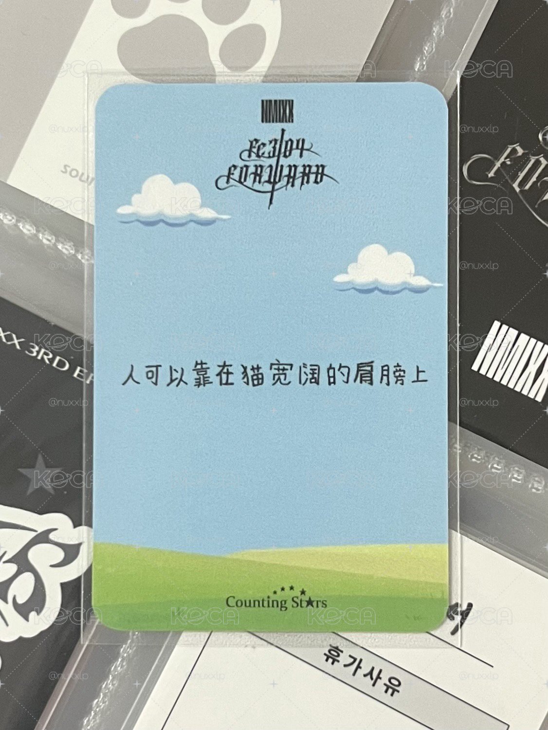 💫 NMIXX 小羊圭 中背