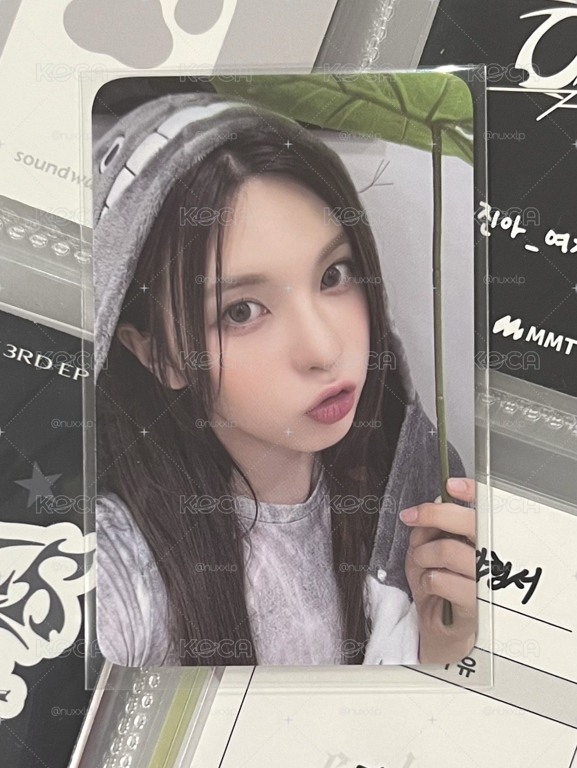 NMIXX 龍貓裴