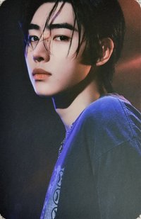 迷五 sponge 特典卡 