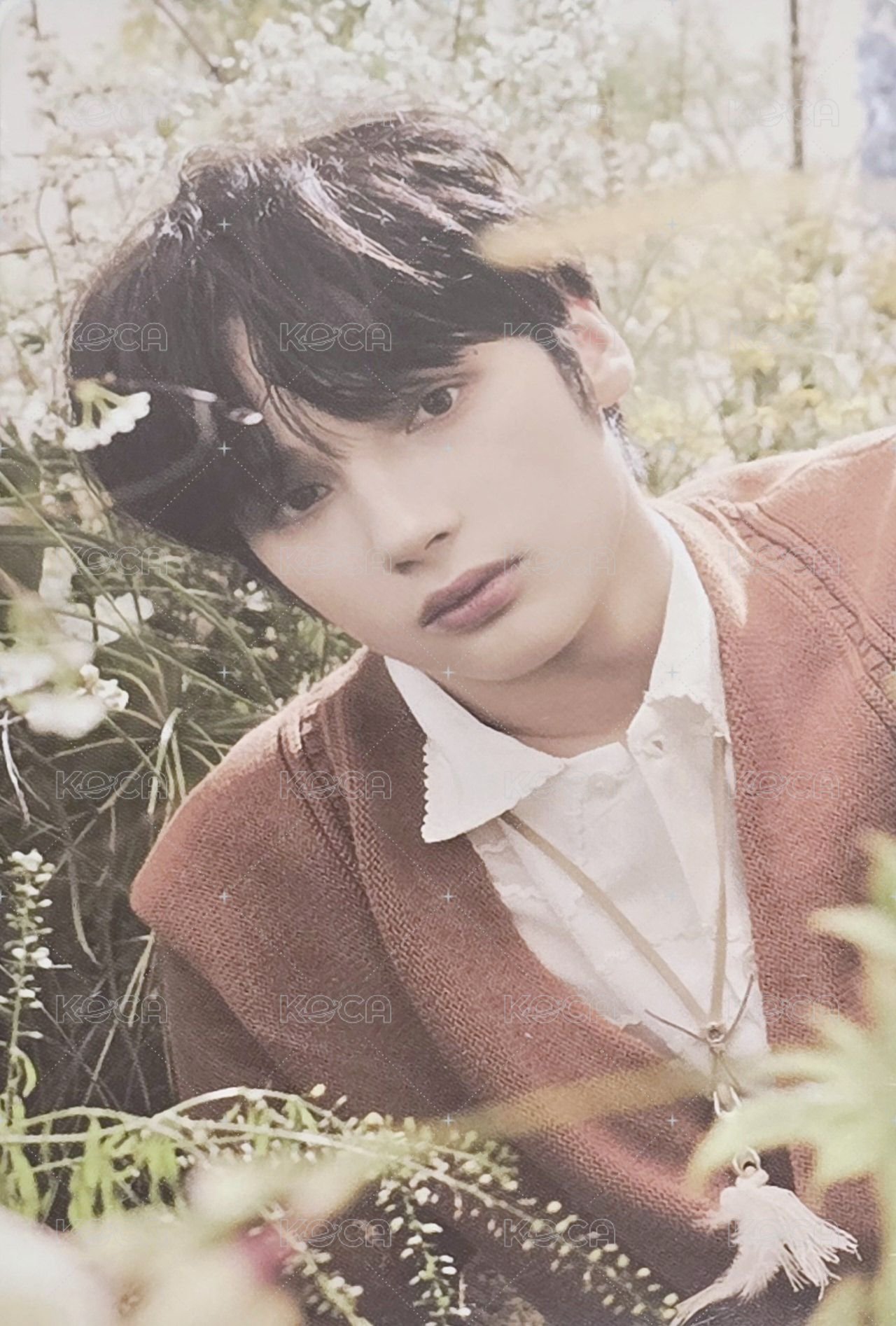 SWEET wvs 特典卡  正面