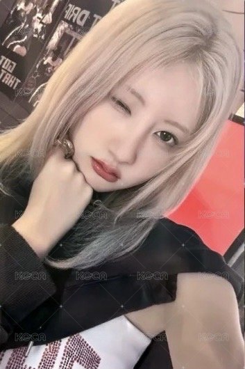 25’世巡 wvs 周邊卡 首爾場周卡冊卡 正面