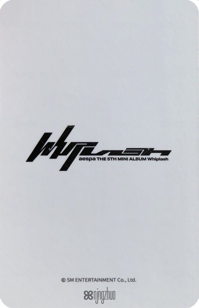 Whiplash hottracks 特典卡 教保特典柚 背面