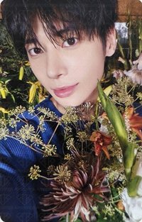迷七 專輯卡 電子專 ver.B
