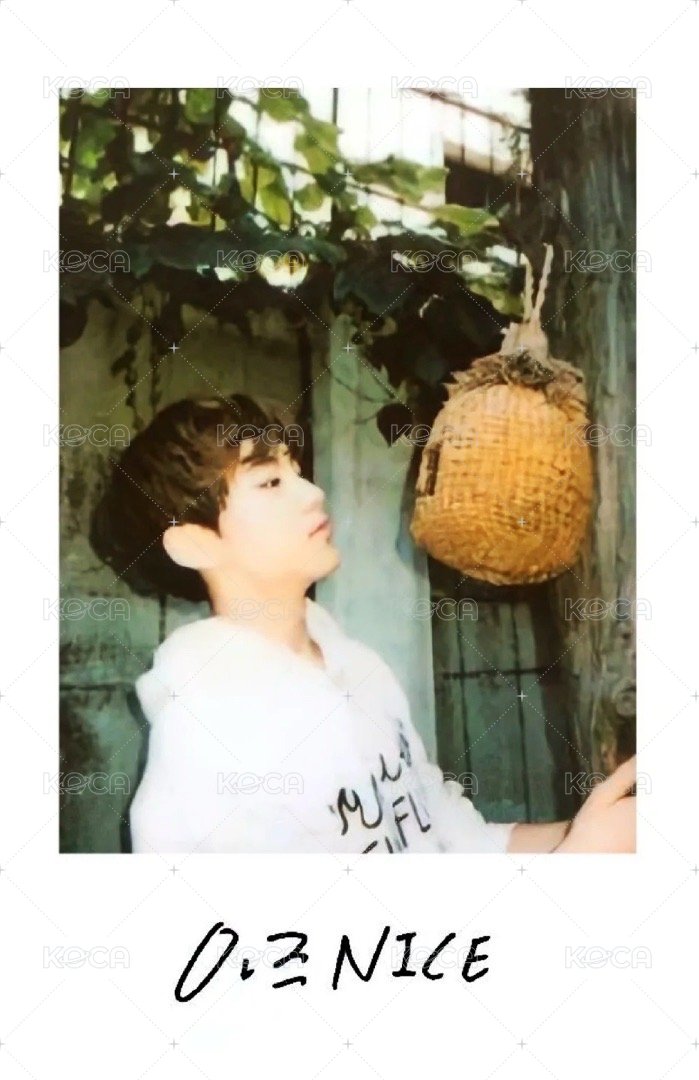 正一後續 專輯卡 正規一後續 正面