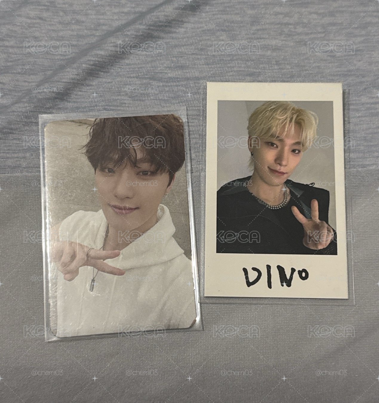 SEVENTEEN DINO 特典卡