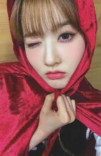 Teddy Bear ms 1.0 特典卡 小紅帽 ver.