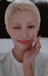 We are ms 2.0 特典卡 ver.B